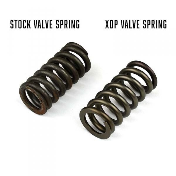 Heavy Duty High Boost Valve Spring Set 2003-2010 Ford 6.0L/6.4L Powerstroke XDP XD388